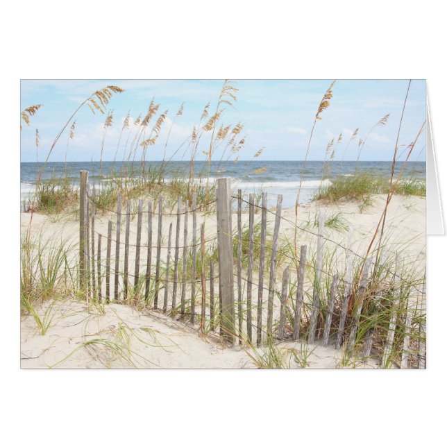 ビーチ (正面横)