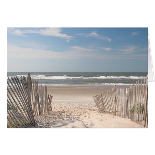 ビーチ (正面横)