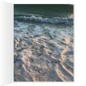 ビーチ (内側(右))