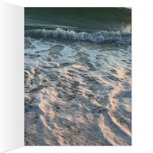 ビーチ (内側(右))