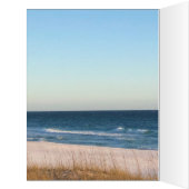 ビーチ (内側(左))