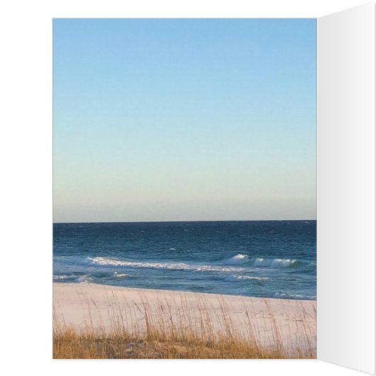 ビーチ (内側(左))