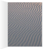 ビーチ (内側(右))