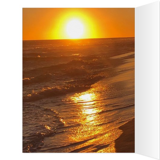 ビーチ (内側(左))