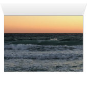 ビーチ (内部横(下))