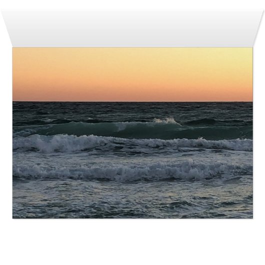 ビーチ (内部横(下))