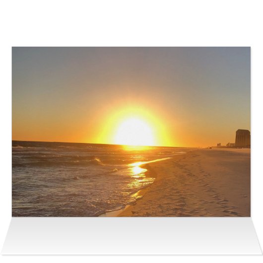 ビーチ (内部横(上))