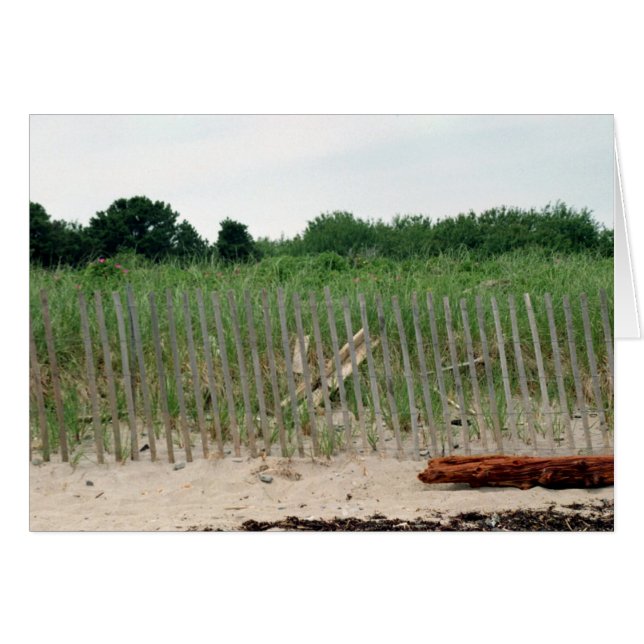 ビーチ (正面横)