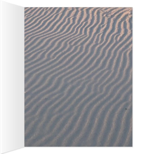 ビーチ (内側(右))