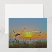 ビーチ (正面/裏面)