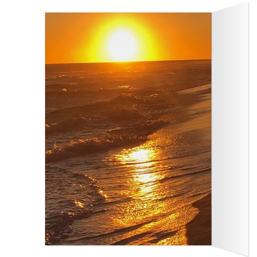 ビーチ (内側 (左))