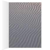 ビーチ (内側 (右))