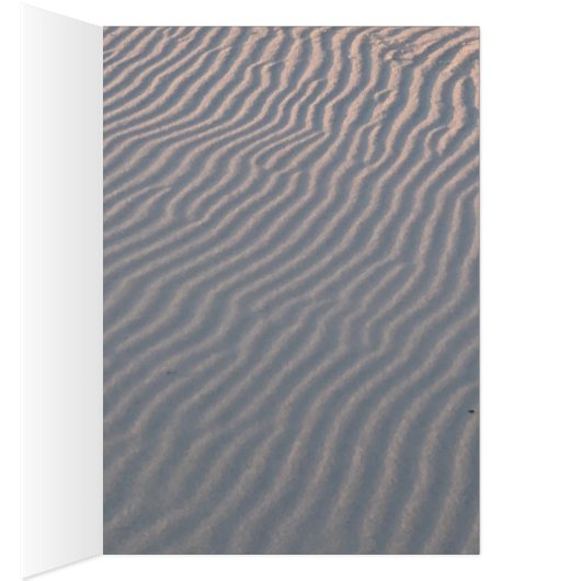 ビーチ (内側 (右))