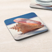 ビーチ2のコンシュの貝 コースター (左側)