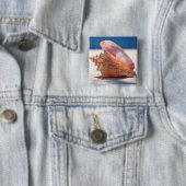 ビーチ2のコンシュの貝 缶バッジ (インサイチュ)