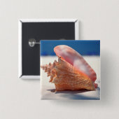 ビーチ2のコンシュの貝 缶バッジ (正面&裏面)