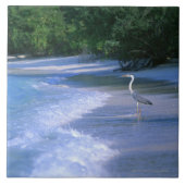 ビーチ2 タイル (正面)