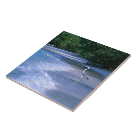 ビーチ2 タイル (側面)