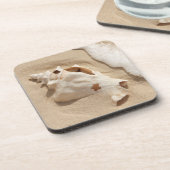 ビーチ|の壮大なトルコ人のカリブ島の貝殻 コースター (左側)