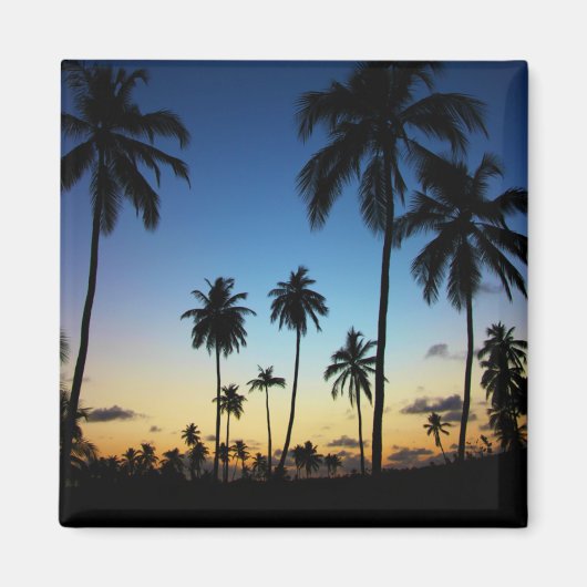 ビーチ&アコースタルビレッジ | Praia Do Forte マグネット (正面)