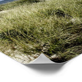 ビーチ、ウェルフリートMA ポスター (角)