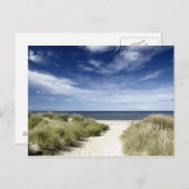 ビーチ、ウェルフリートMA ポストカード (正面/裏面)