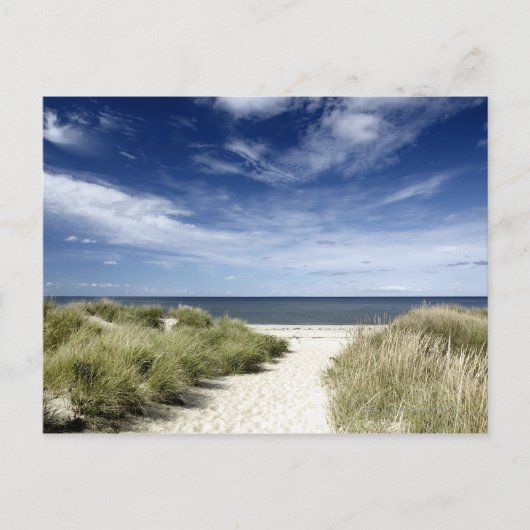 ビーチ、ウェルフリートMA ポストカード (正面)