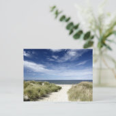 ビーチ、ウェルフリートMA ポストカード (スタンド正面)