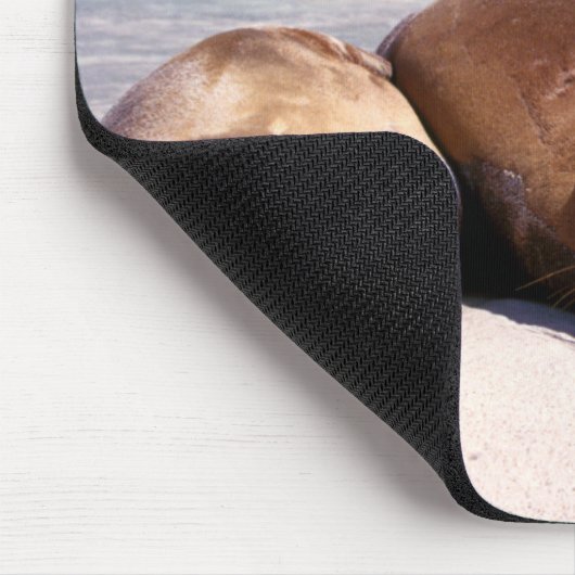 ビーチ|エクアドルで眠っているアシカ マウスパッド (コーナー)