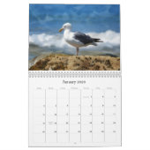 ビーチ・オーシャン写真アートカレンダー カレンダー (1月 2026)