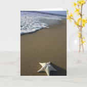 ビーチ カード (黄色い花)