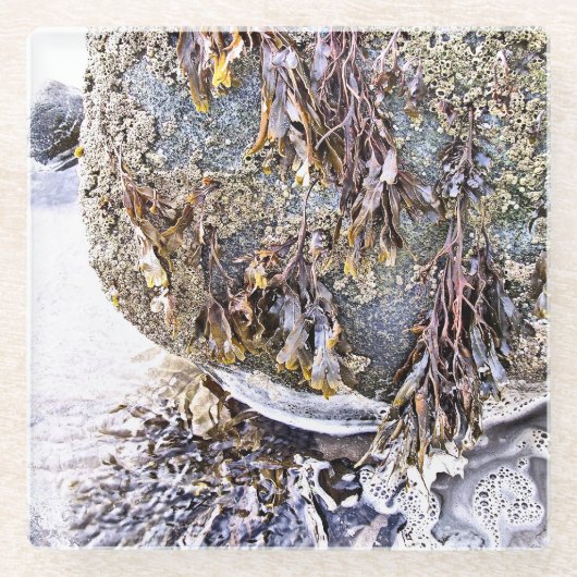 ビーチ ガラスコースター (正面)