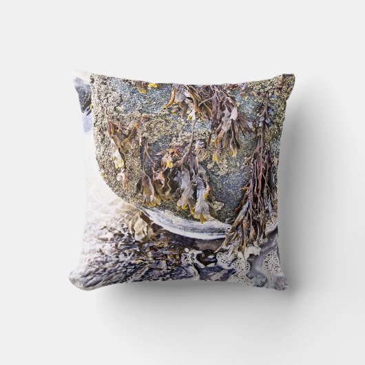 ビーチ クッション (正面)