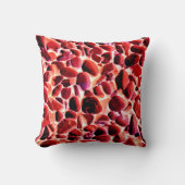 ビーチ クッション (正面)