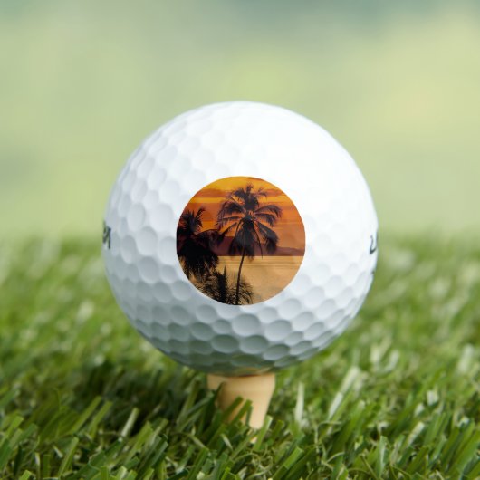ビーチ ゴルフボール (インサイチュ 木)