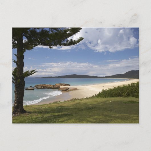 ビーチ、サウスウエストロックス、ニューサウスウェールズ州、 ポストカード (正面)