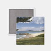 ビーチ、サウスウエストロックス、ニューサウスウェールズ州、 マグネット (正面/裏面)