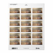 ビーチ・サンセット・シーシェル ラベル (フルシート)