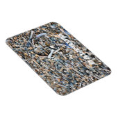 ビーチ、シェル、流木、バートラム島はがき マグネット (右側)