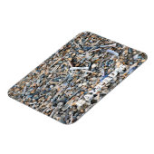 ビーチ、シェル、流木、バートラム島はがき マグネット (左側)