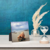 ビーチ |セントクロワ(U.S. Croix) フォトプラーク (インサイチュ)