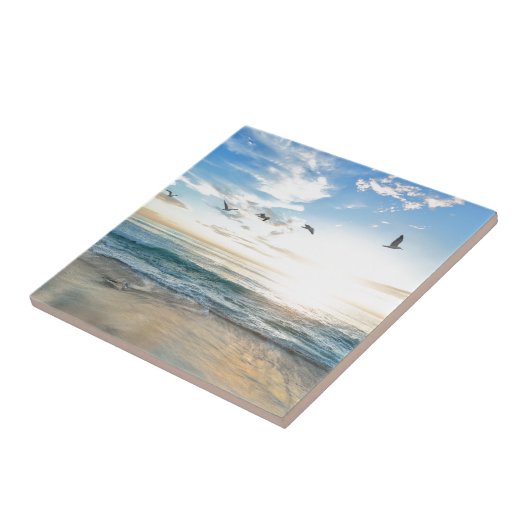 ビーチ タイル (側面)