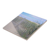 ビーチ タイル (側面)