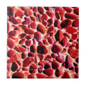 ビーチ タイル (正面)