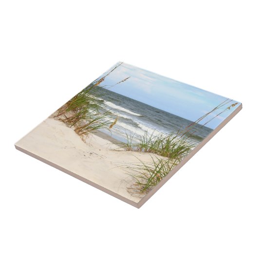 ビーチ タイル (側面)