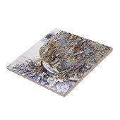 ビーチ タイル (側面)