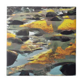 ビーチ タイル (正面)