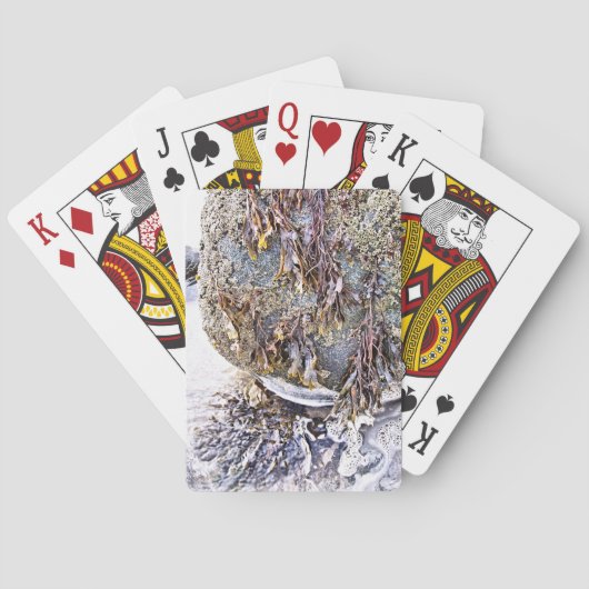 ビーチ トランプ (裏面)