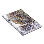 ビーチ ノートブック (右側)