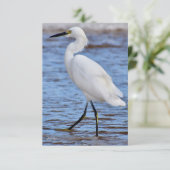 ビーチ・ノート・カード サンキューカード (スタンド正面)